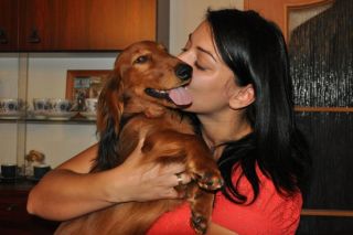 NADIM jamniki Kollapsar